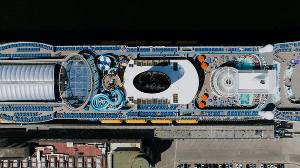 Comment organiser des vacances en Australie avec des cours de plongée et des excursions pour découvrir la faune marine?