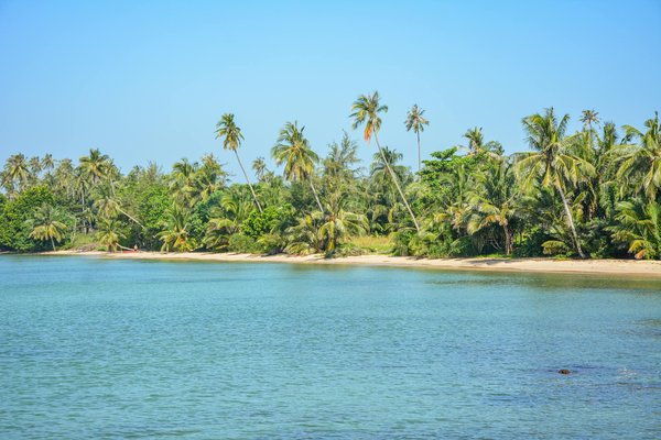 Quels sont les secrets pour une randonnée réussie dans les montagnes du Carélie, Finlande : équipements et conseils ?